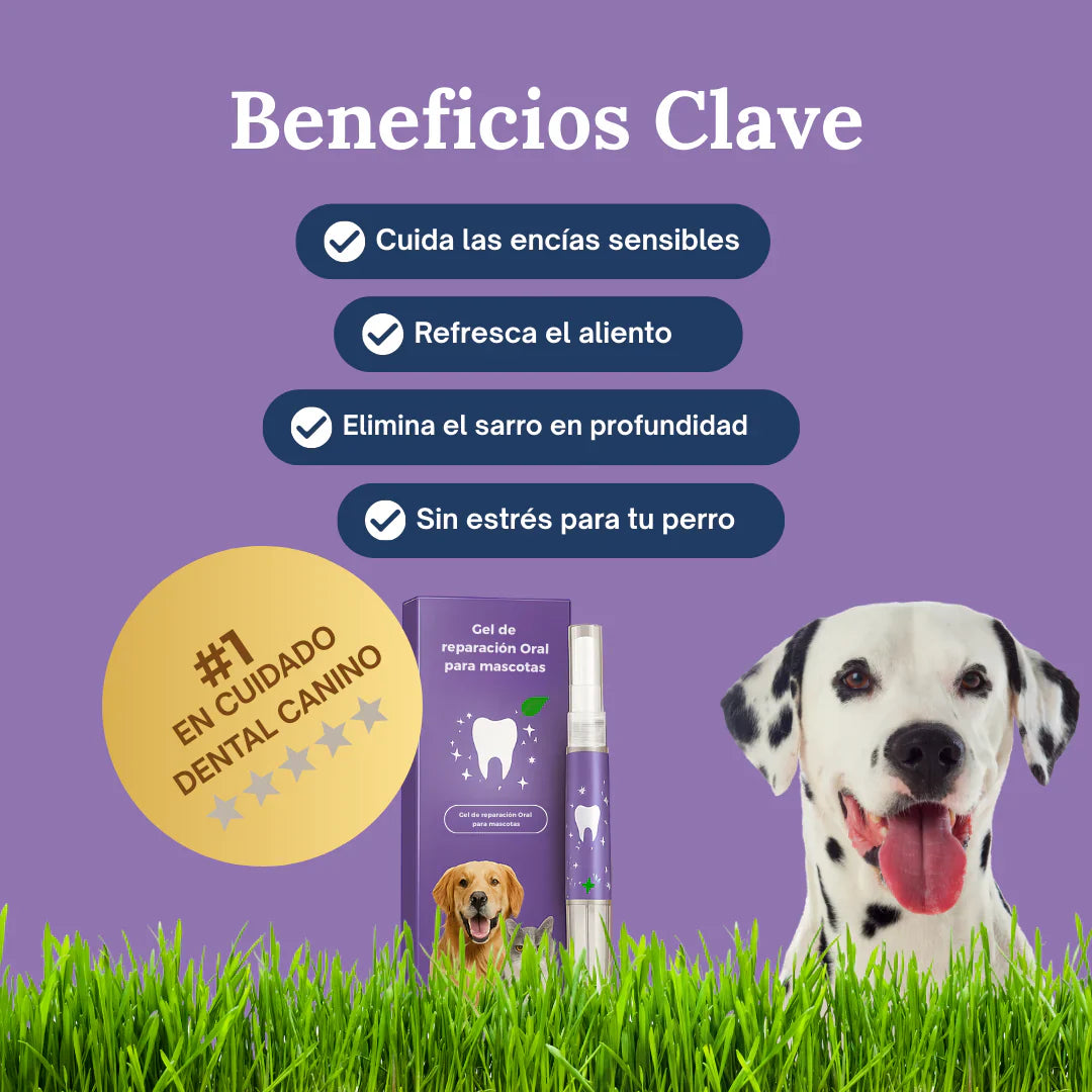 BrilloCan™ - Cuidado Dental nº1 para perros en España