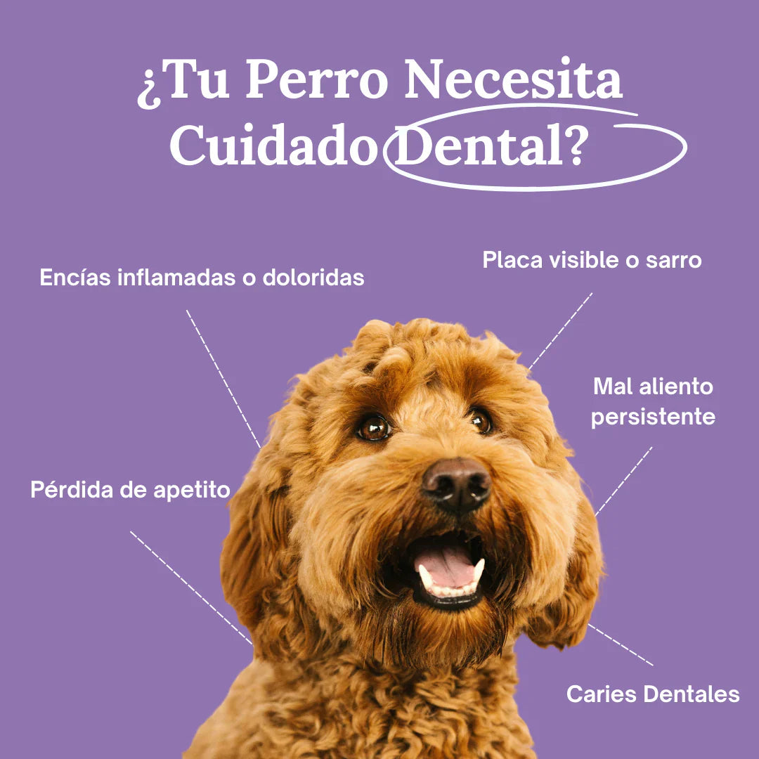 BrilloCan™ - Cuidado Dental nº1 para perros en España