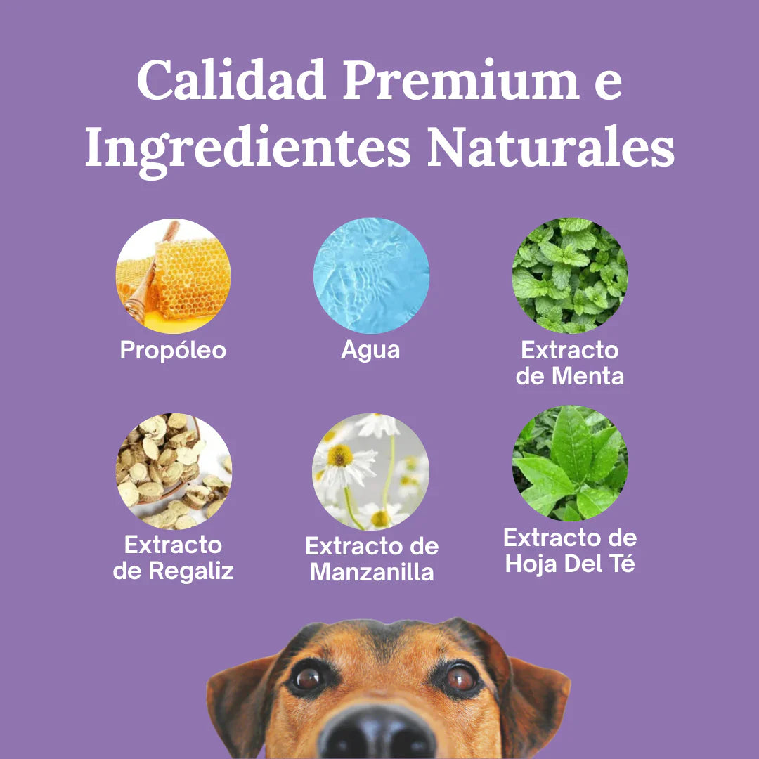 BrilloCan™ - Cuidado Dental nº1 para perros en España