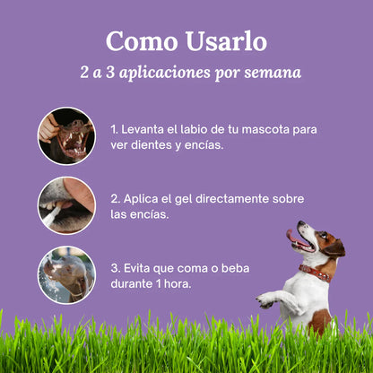 BrilloCan™ - Cuidado Dental nº1 para perros en España