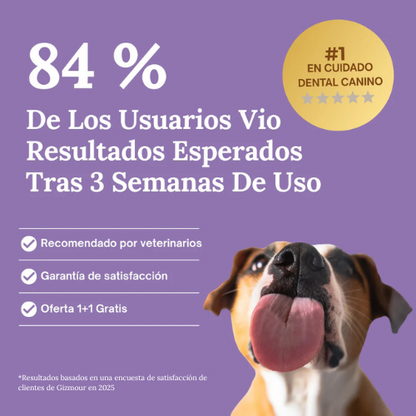 BrilloCan™ - Cuidado Dental nº1 para perros en España